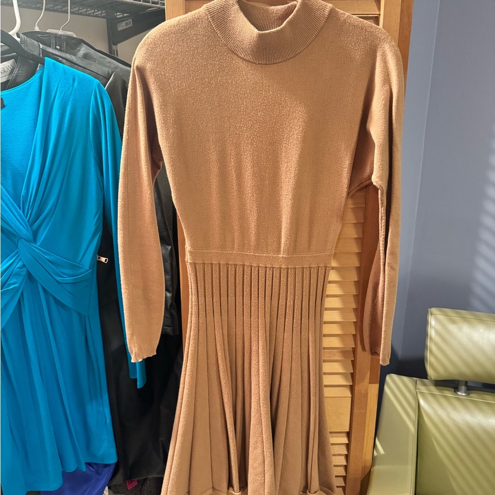 Winter/fall sweater dress